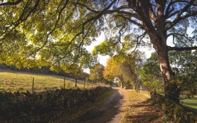 How rural roads affect deliveries (and tips for a solution)