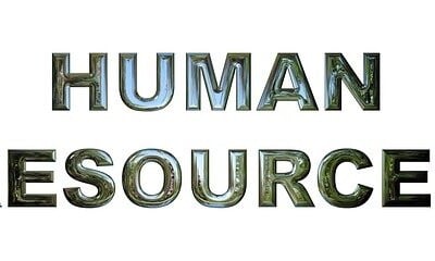 Logistics and Human Resources in 2020
